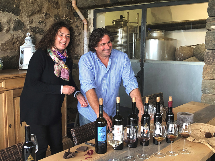 Wine tasting in a local winery, Sicily
