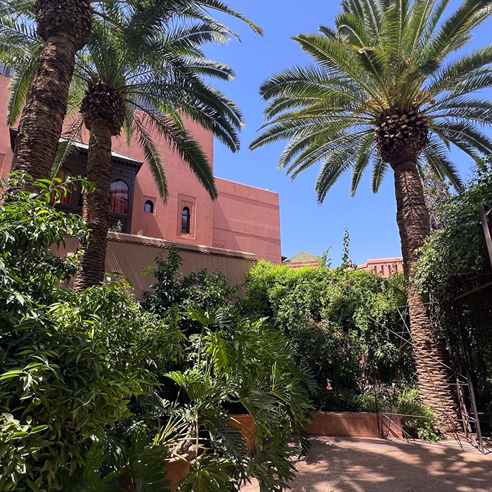 2025: A Retrospective on Transformative Journeys