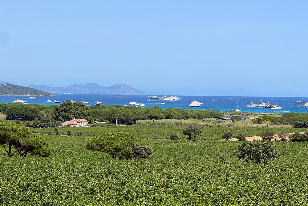 Côte d’Azur: The Caps vs. Saint-Tropez