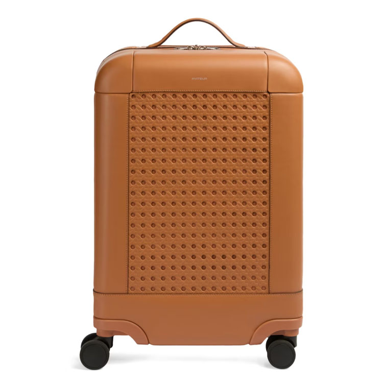 Aviteur Carry-On
